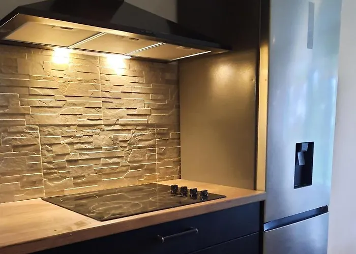 דירה Beachfront Sea View Boulevard Du Midi קאן